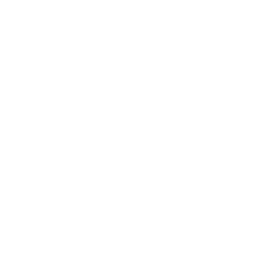ICON-photo