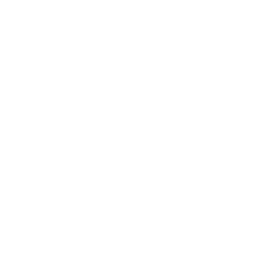 ICON-video